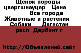 Щенок породы  цвергшнауцер › Цена ­ 30 000 - Все города Животные и растения » Собаки   . Дагестан респ.,Дербент г.